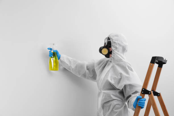 Kings Mills, OH Mold Removal & Remediation Company